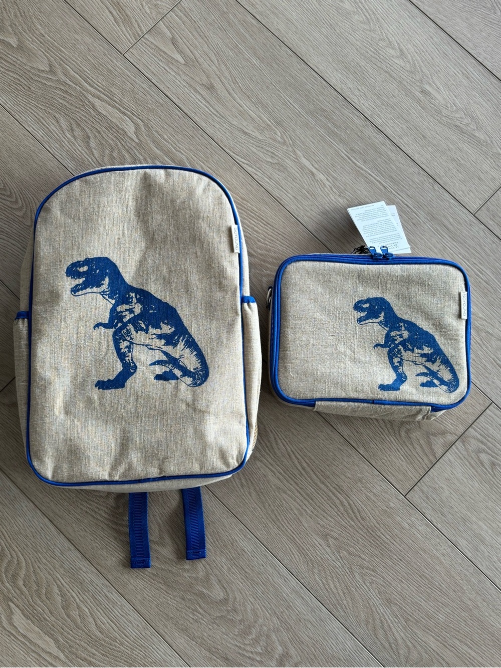 Kids Dinosaur Backpack and Lunch Bag - Blue